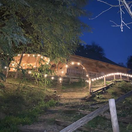 Casuta Bunicilor Villa Viseu de Jos Luaran gambar