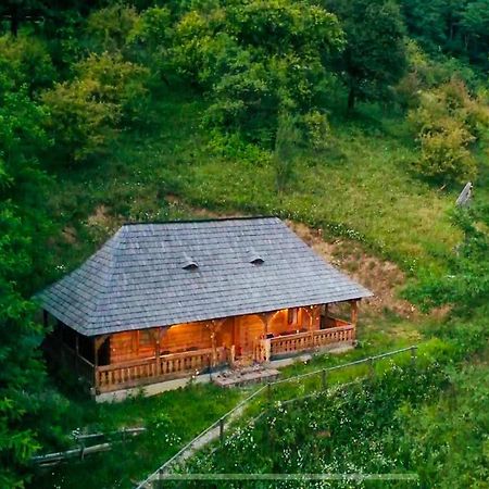 Casuta Bunicilor Villa Viseu de Jos Luaran gambar