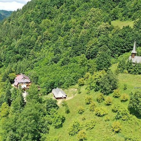 Casuta Bunicilor Villa Viseu de Jos Luaran gambar