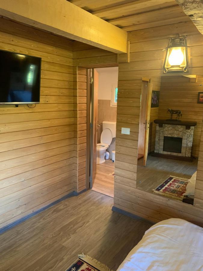 Casuta Bunicilor Villa Viseu de Jos Luaran gambar