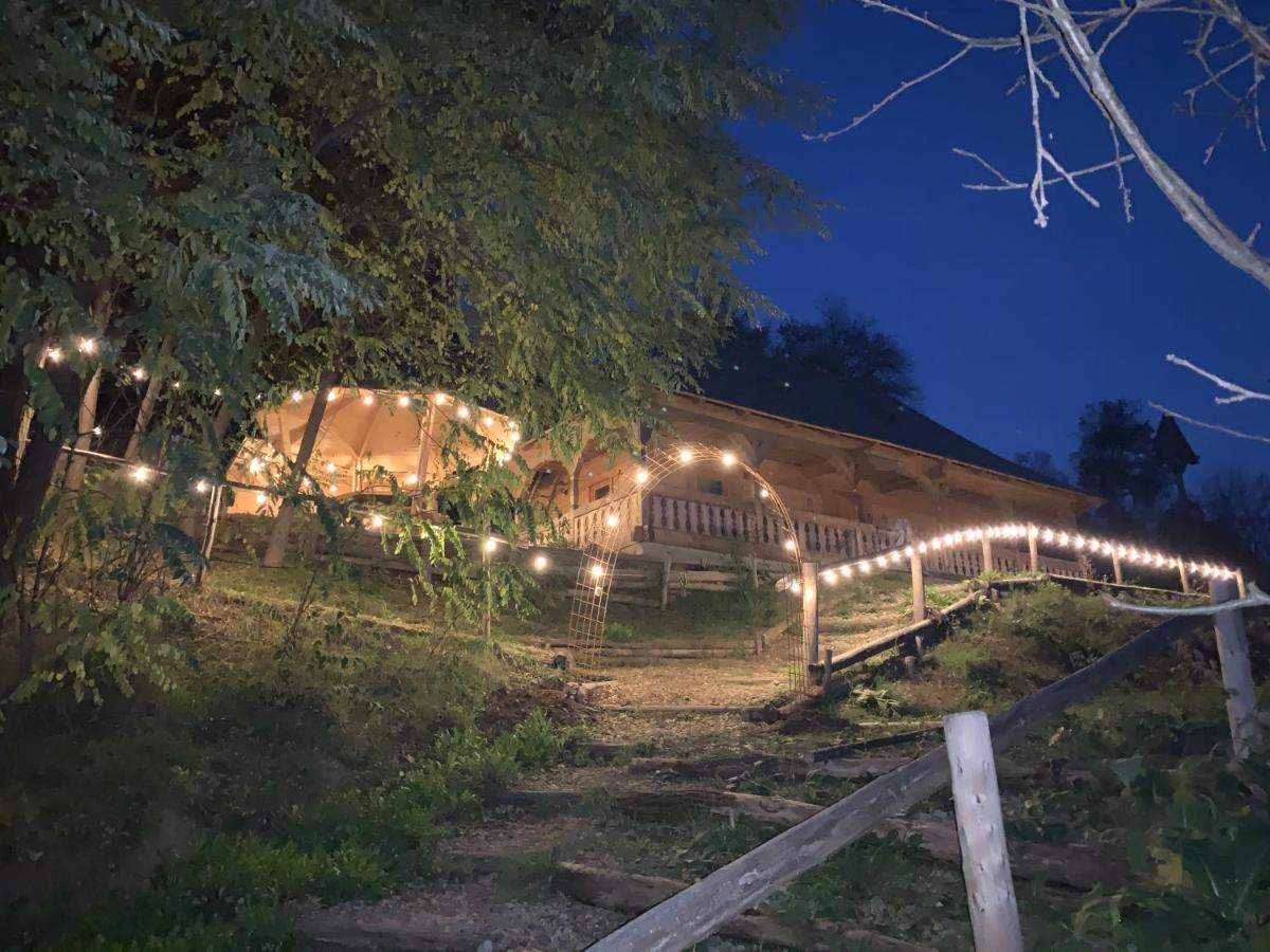 Casuta Bunicilor Villa Viseu de Jos Luaran gambar