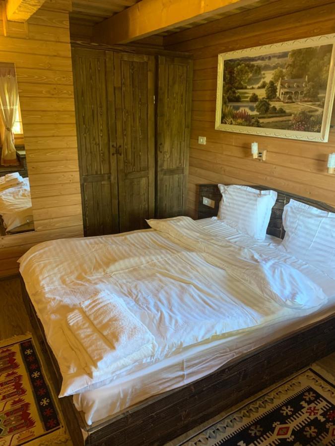 Casuta Bunicilor Villa Viseu de Jos Luaran gambar