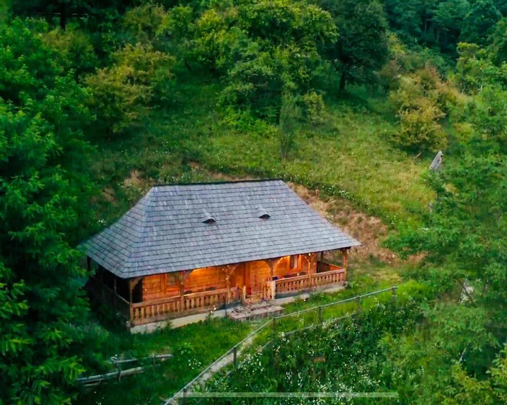 Casuta Bunicilor Villa Viseu de Jos Luaran gambar