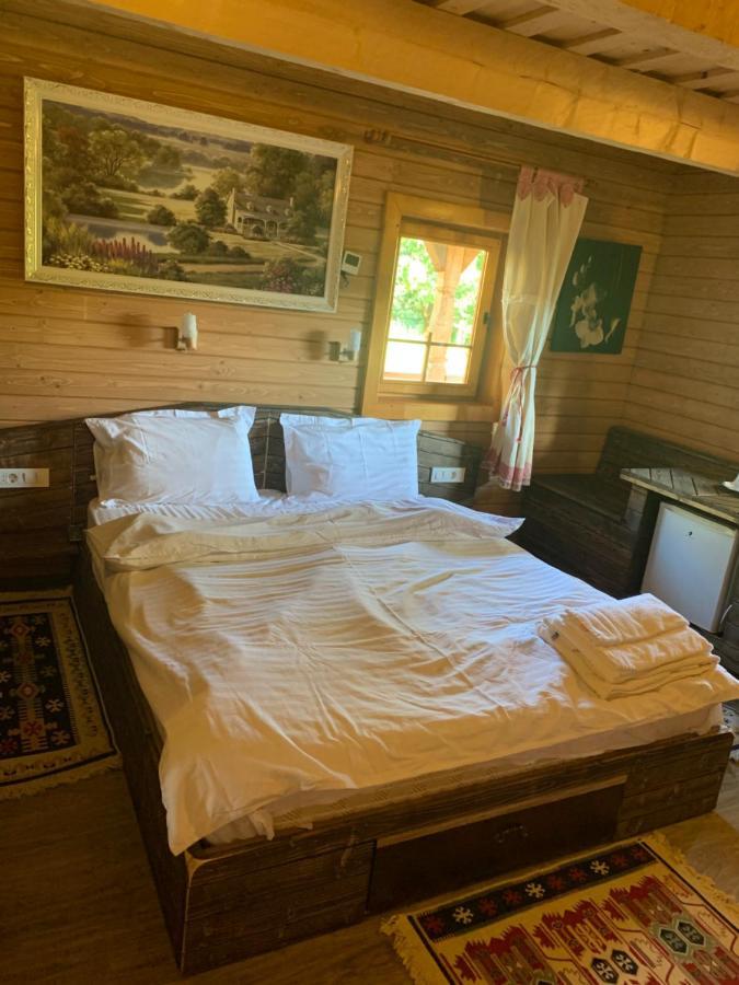 Casuta Bunicilor Villa Viseu de Jos Luaran gambar