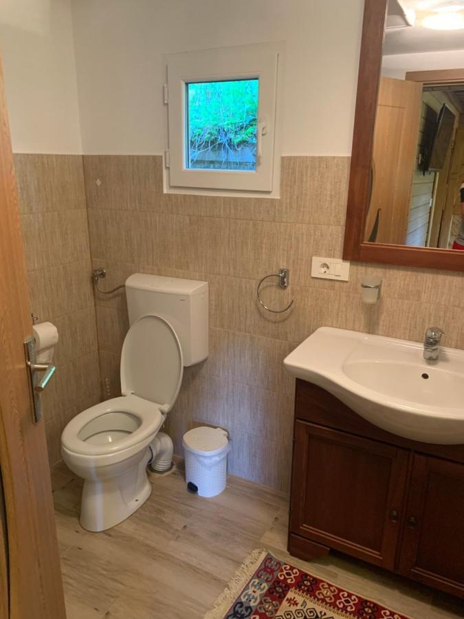 Casuta Bunicilor Villa Viseu de Jos Luaran gambar